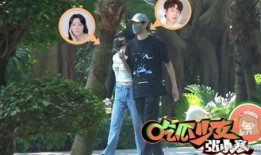 狗仔爆料五个大瓜视频大全,五大热门视频大揭秘，娱乐圈风云再起！